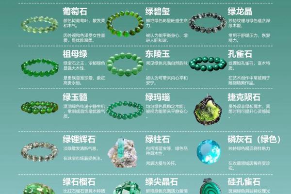 水生木的奥秘：五行中水如何促进木的生长？