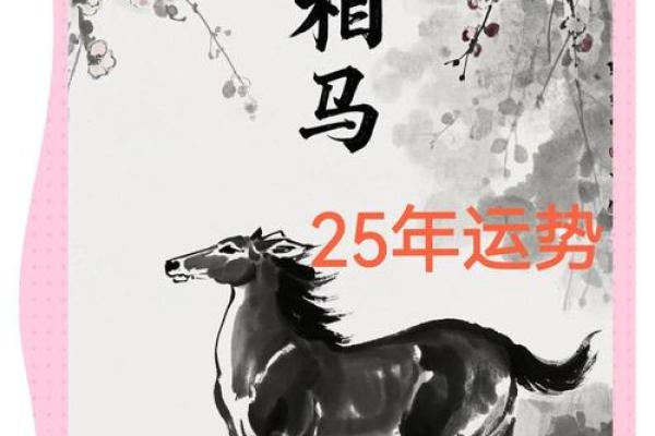 属马人的整体运势分析