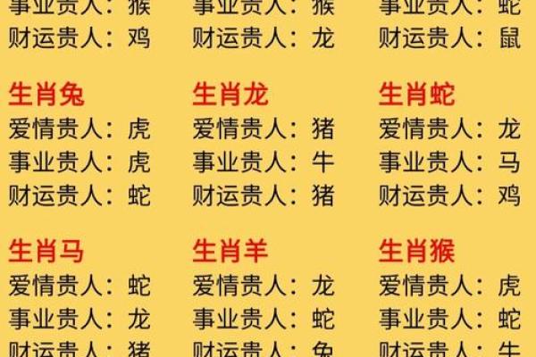 本命年鼠男如何通过合理规划找到机会