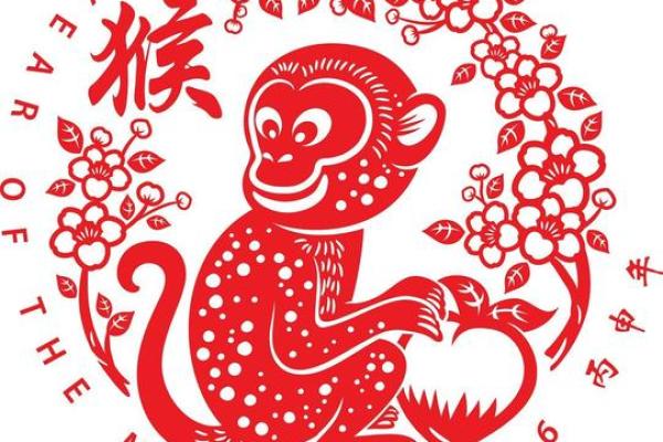 属猴健康运势：注意身体调整