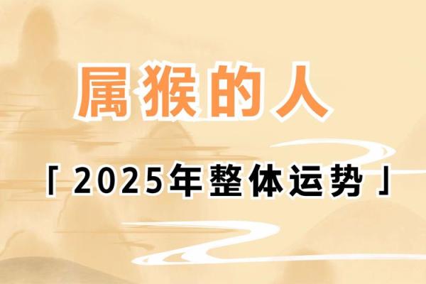 属猴人运势如何提升？专家建议揭秘