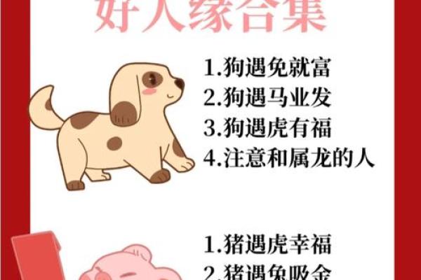 猪和虎的配对是否合适？揭秘生肖相配的奥秘