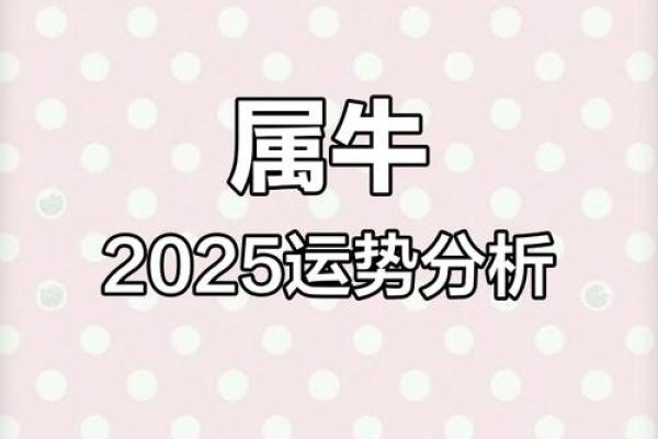 属牛人在如何化解运势中的不利因素