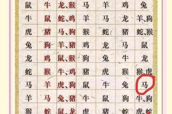 马鸡合婚：生肖搭配中的和谐与挑战