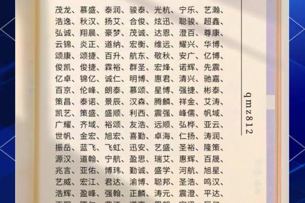 如何为新公司取个独特又有意义的名字