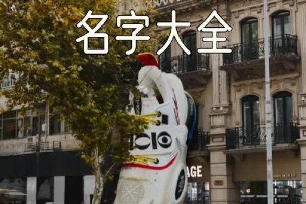 鞋类品牌命名公司：为您的鞋子找到独特标识