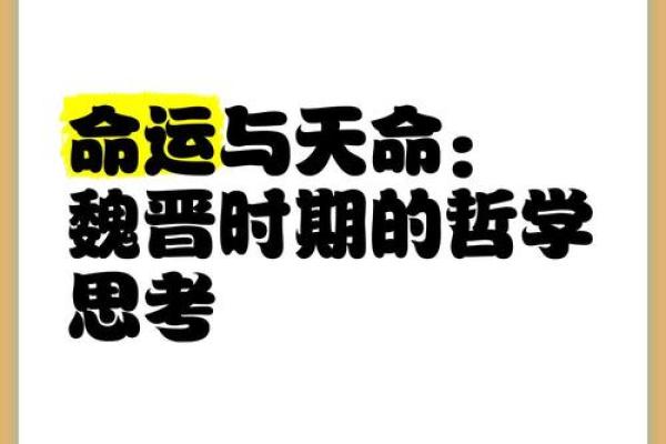 命运与名字：宿命的选择还是巧合