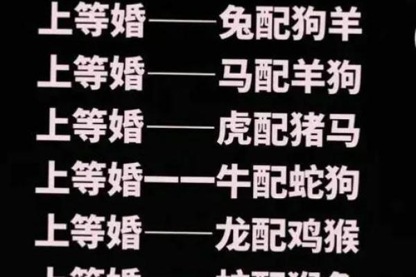 羊兔搭配是否合适，生肖相冲解读解析