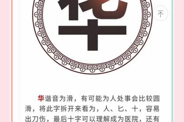 鑫雨名字的文化与象征意义探讨