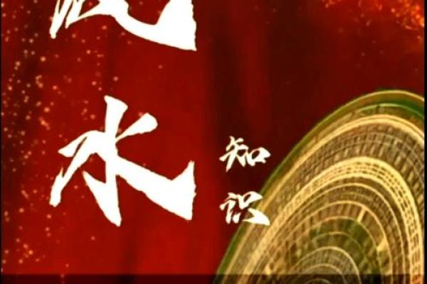 风水招财室内布局的关键要素与实用技巧