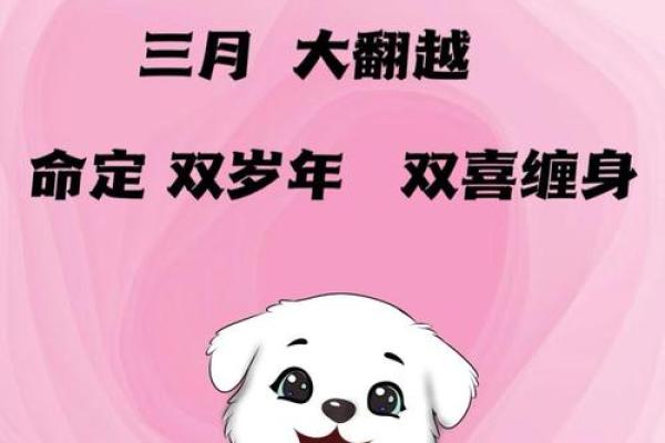本命年狗女如何增强个人魅力