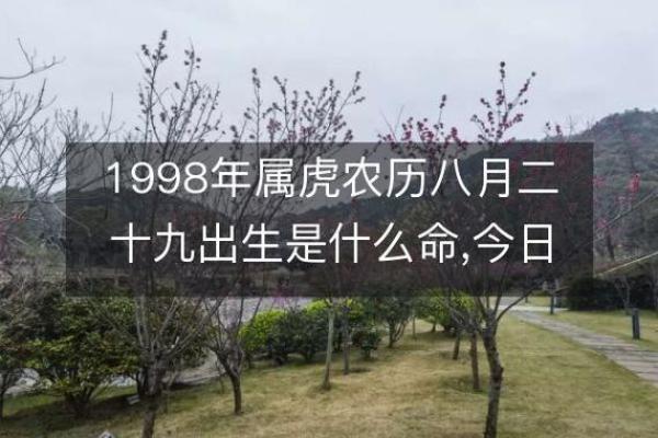 免费八字运程分析：揭秘生肖命运走向