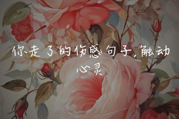 那些带有伤感意味的名字，是否触动你的内心
