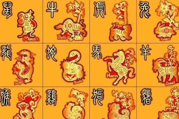 揭秘杀五行生肖的奥秘，看看你的生肖是否中招！