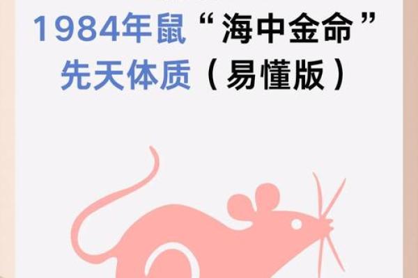 属鼠的人在爱情中如何与自己同属鼠的人相处