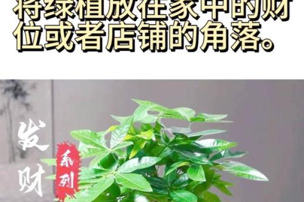 如何用招财风水图片增加店铺财运