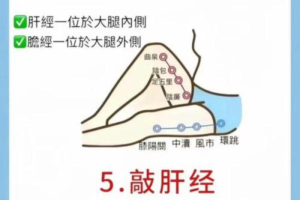 如何通过五行调理嗓子，提升声音质量