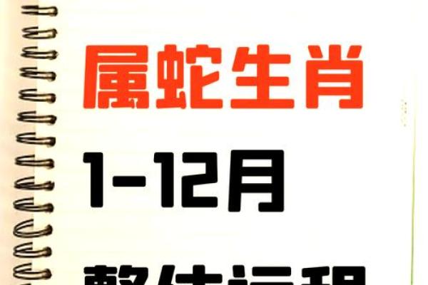 本命年属蛇如何化解感情纷争