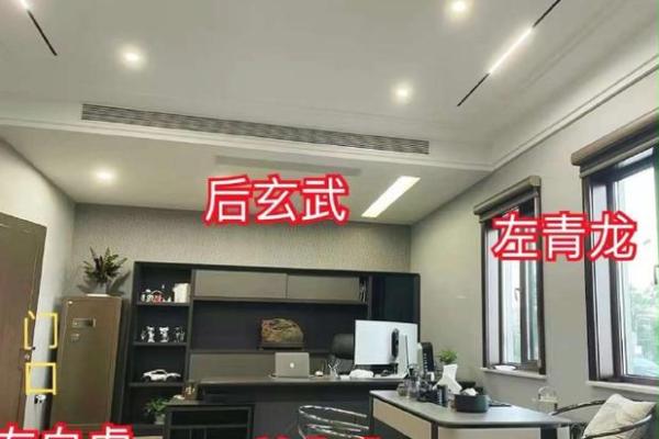 办公室屏风风水布局技巧助你提升职场运势