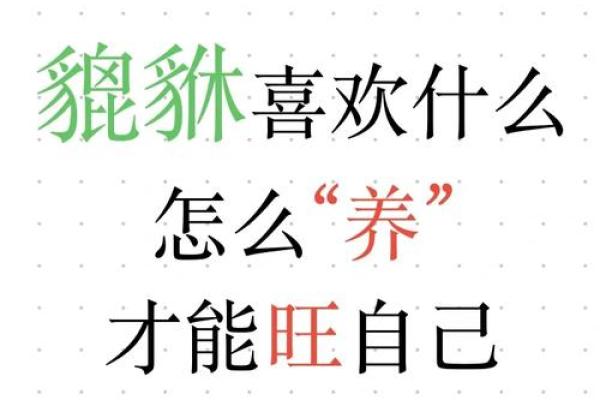 风水招财狮助运秘籍 让财运滚滚而来