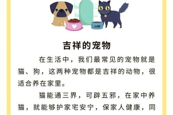 提升家中财运的狗招财风水秘诀