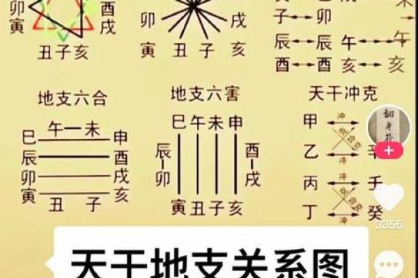 八字木多的女人有何特征？如何利用木运提升运势？