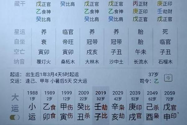 八字木多的女人有何特征？如何利用木运提升运势？