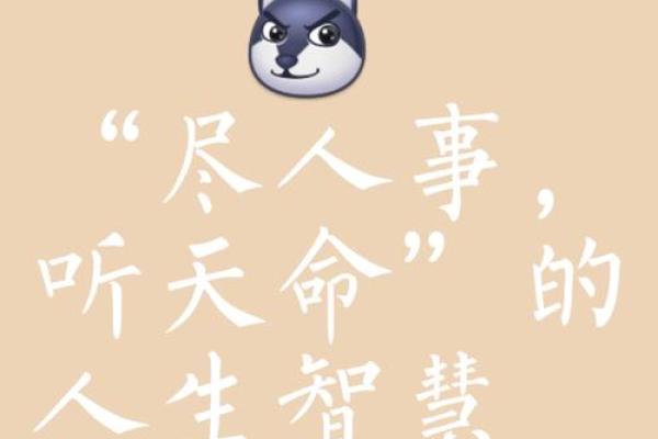富命的真谛：天赋与努力如何塑造财富人生