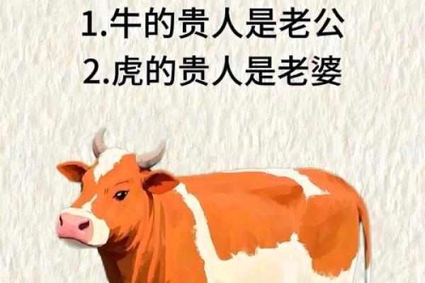 鼠与虎鼠相与配虎的的命最佳理配解析对：：探索这最佳配对生肖组合对的与相独克关系特