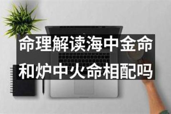 海中金命职业选择指南