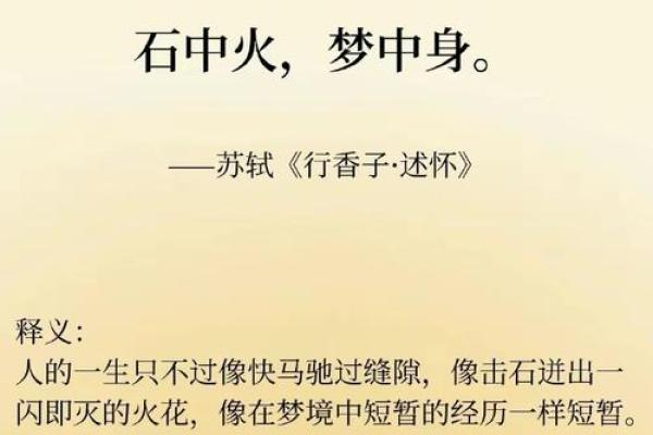 揭秘苏轼八字中的命运玄机与人生智慧