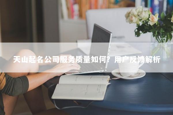 天山起名公司服务质量如何？用户反馈解析
