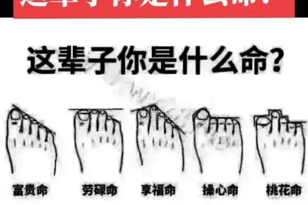 富贵命的人脚型特征揭秘
