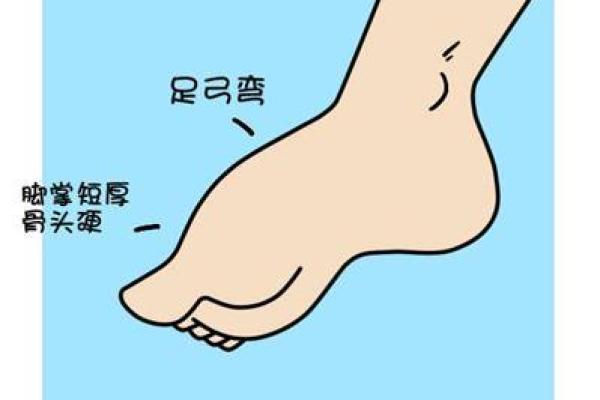 富贵命的人脚型特征揭秘