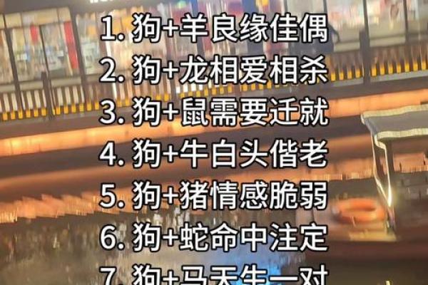 生肖配对：男狗女蛇的婚姻是否能走得更远？