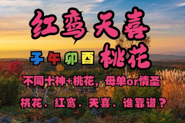 红鸾桃花入命，命运中的爱情信号