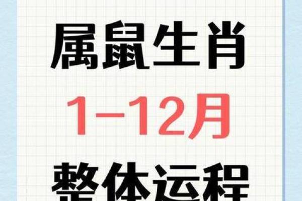 鼠生肖运程分析：如何迎接挑战与机遇