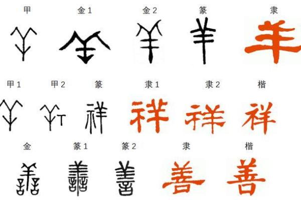 如何理解媛字在命名中的象征意义