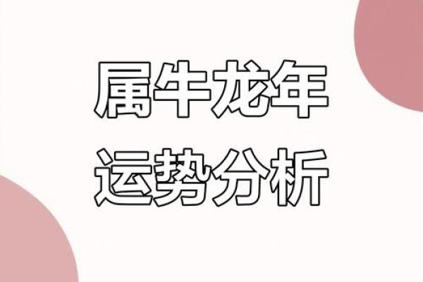 属牛运势全面解析
