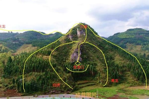 影响家族运势的墓地风水选择技巧