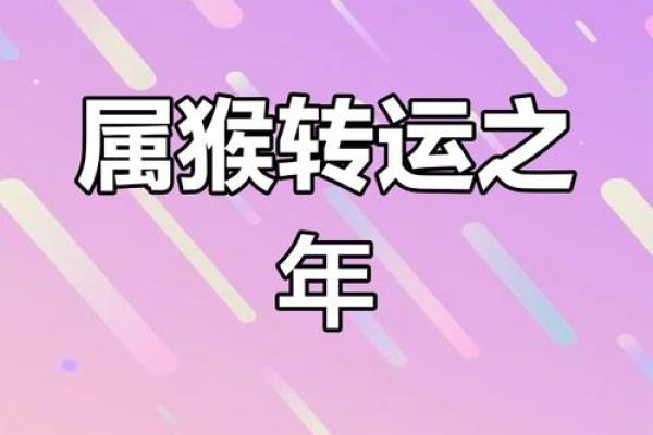 属猴人的幸运与挑战：今天的运程趋势