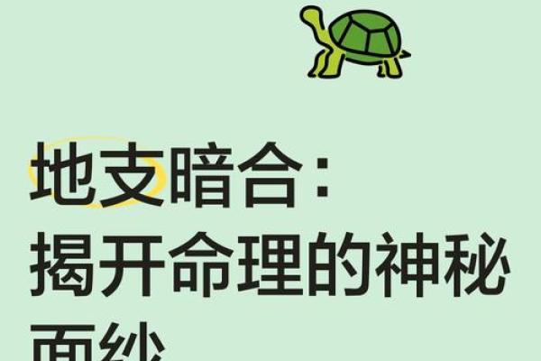 一看生辰八字，揭开你命运的神秘面纱