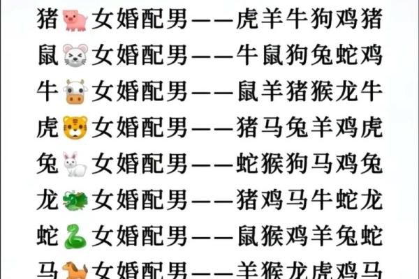 男鼠与女狗婚姻的命运与性格匹配度