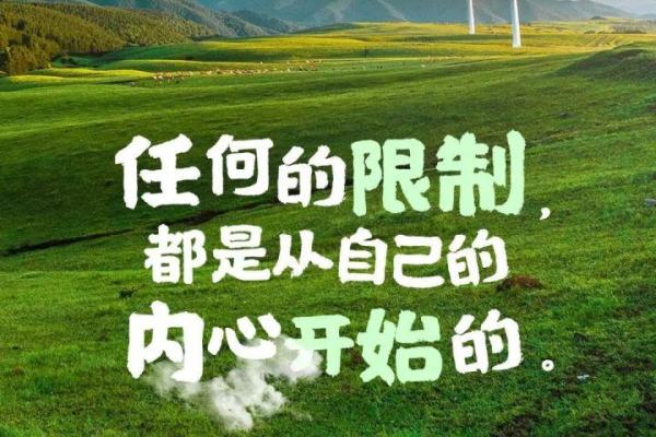 穿越1994：揭秘那个冬日里的美好时光，万年历带你领略岁月流转