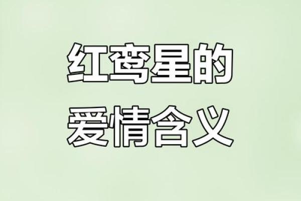 红鸾星动与命运解析：揭开爱情与婚姻的神秘面纱