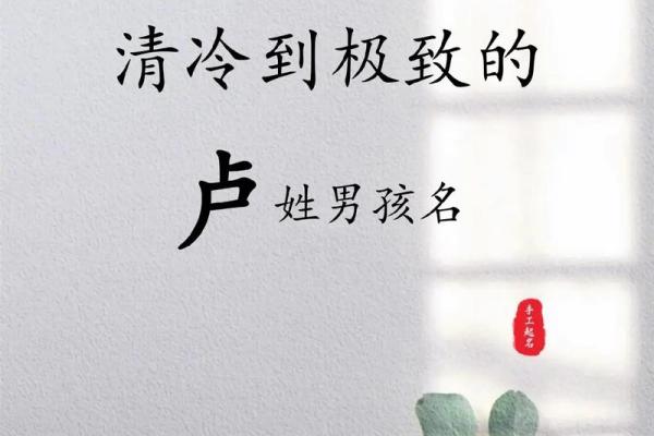 姓卢的文化象征与现代意义
