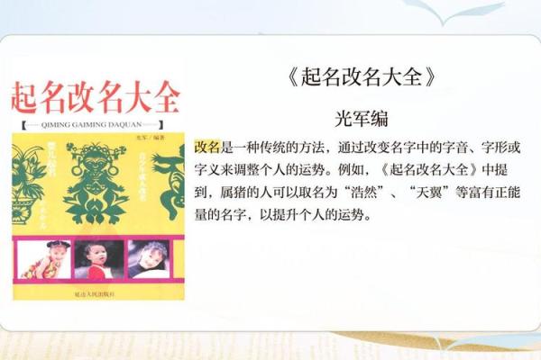 属猪的宝宝取名指南，助你选个吉利又有寓意的名字