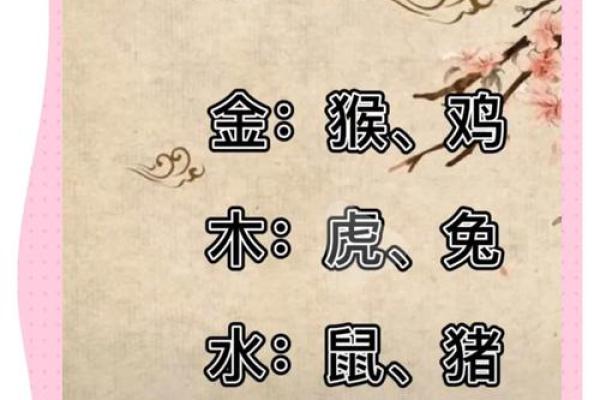 属猪的宝宝取名指南，助你选个吉利又有寓意的名字
