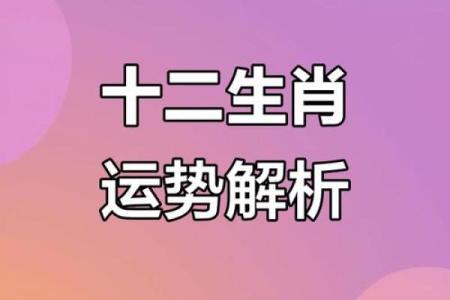 每日属相运程揭秘 最吉利的日子