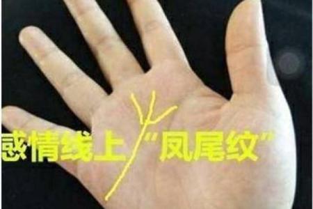 张天爱的八字揭秘：她的命运如何影响事业与感情？